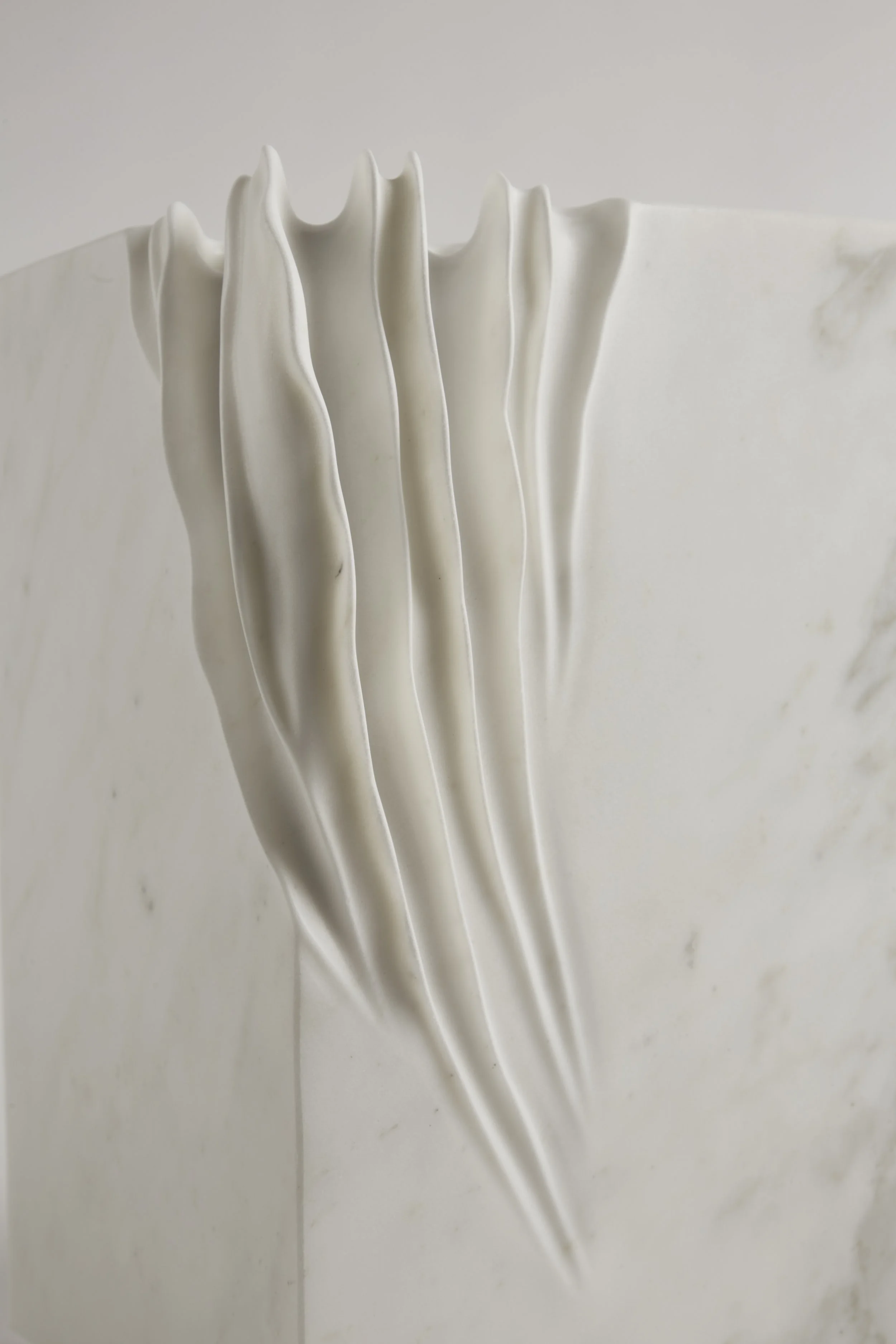 _SX15155.jpg