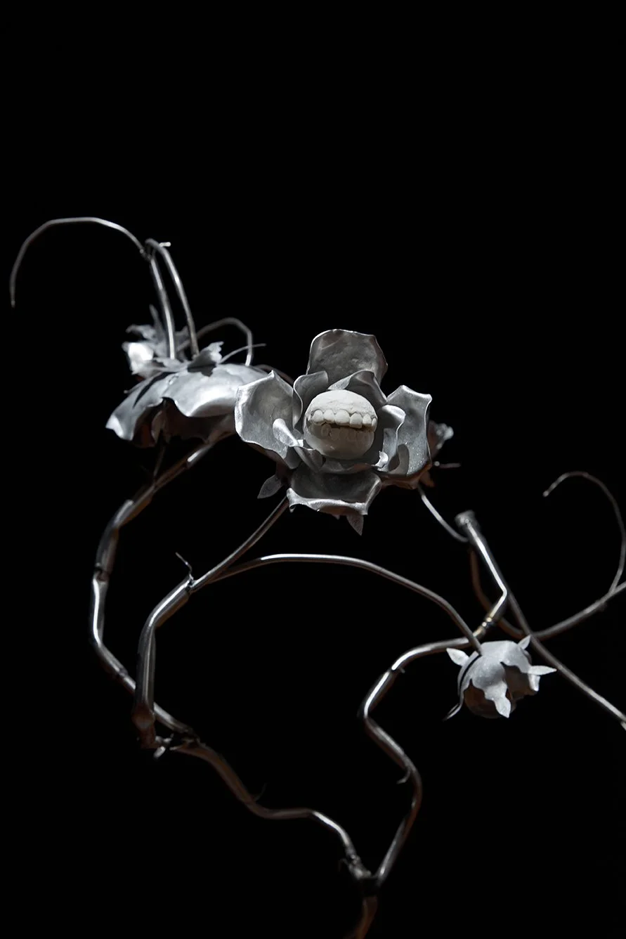 Mauvaises Graines series