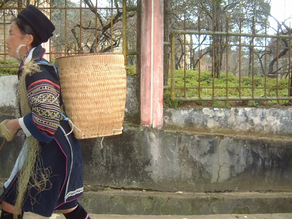 Everything is Delicious