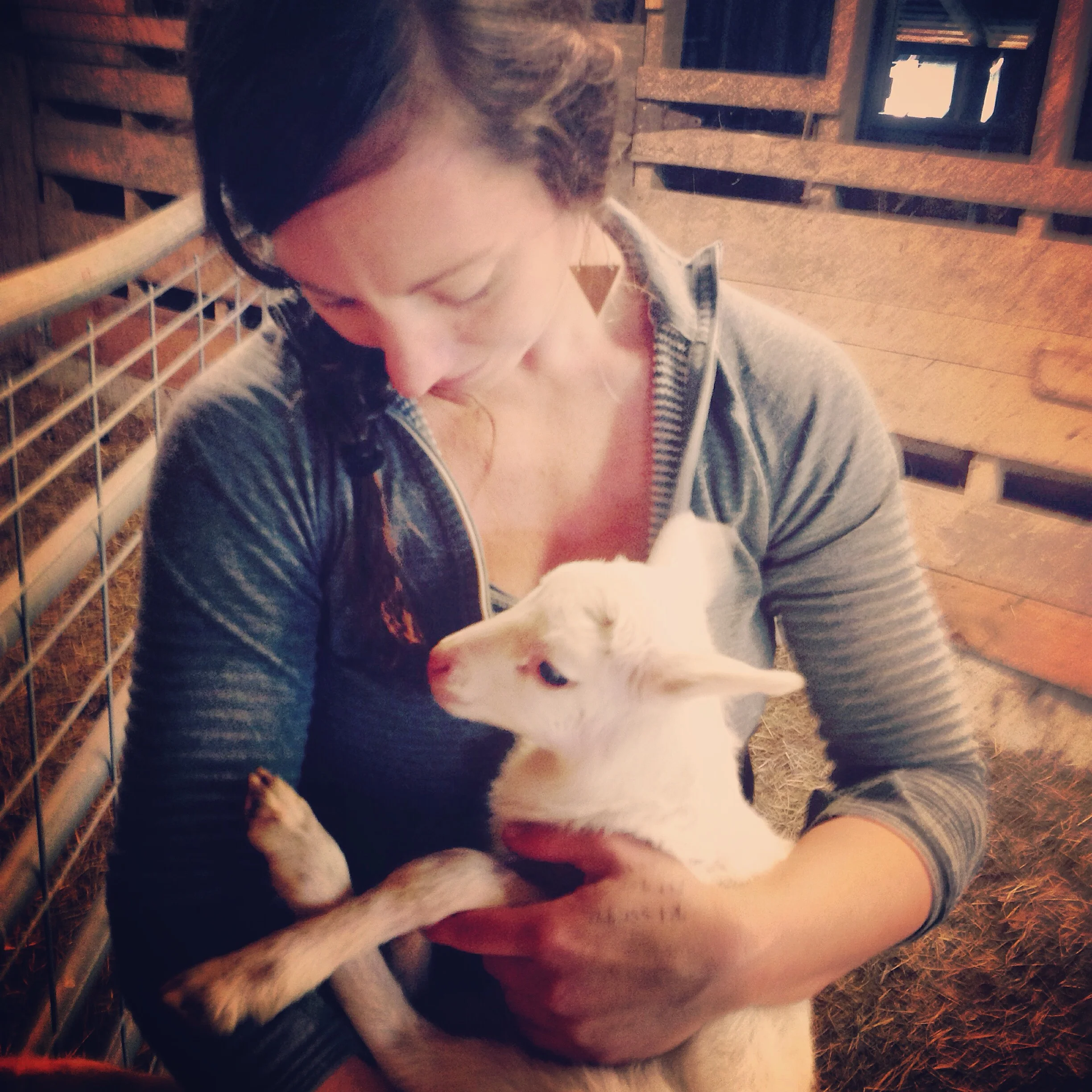 Why I Use the Words "Ethical" and "Meat" Together... and What that Means