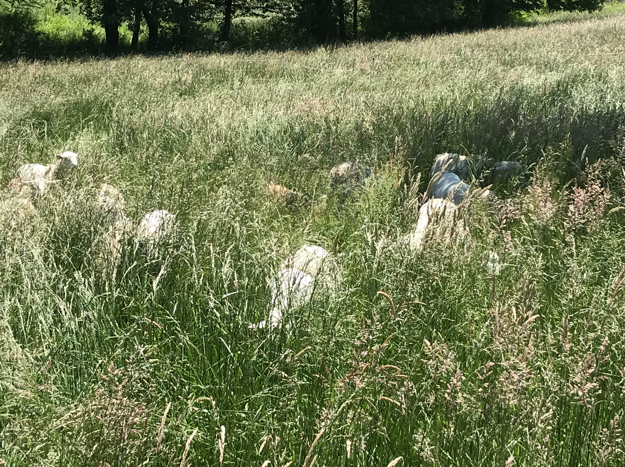 You are the Imaginative Ones. You are the Hope. The Revolutionaries.