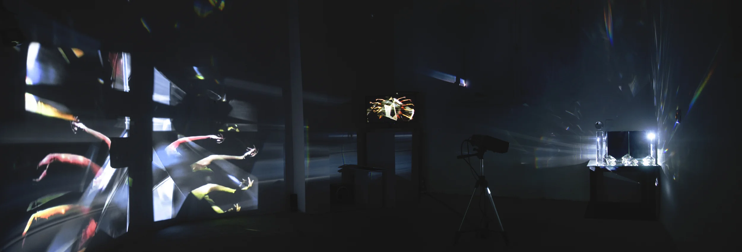 Trans-Captivity, 2015