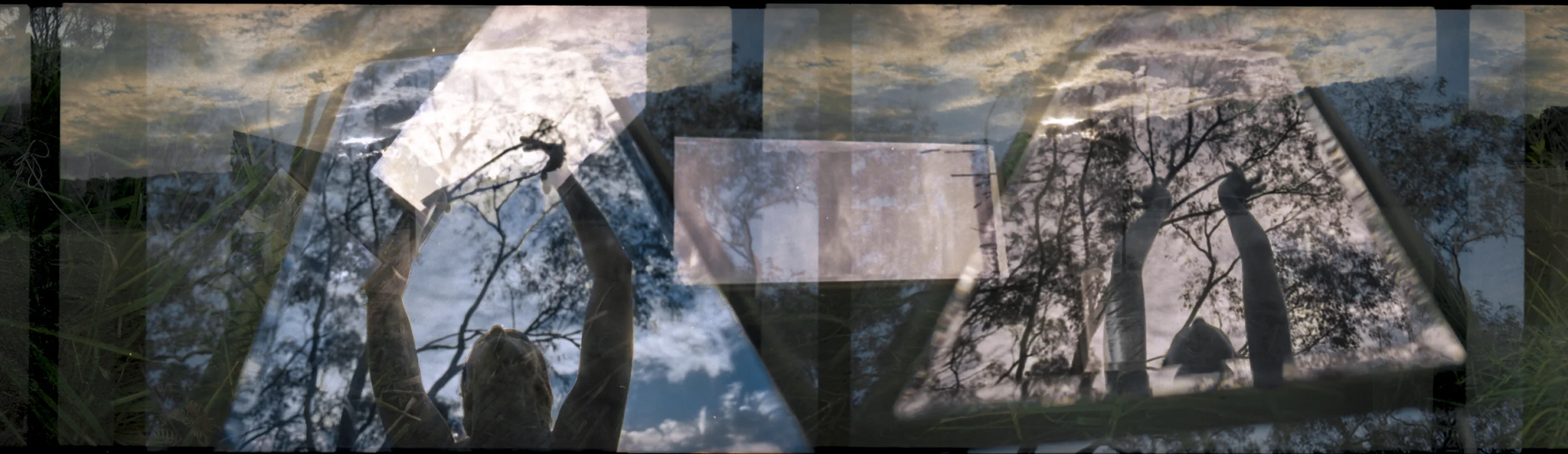 Surrogate Signs, 2013