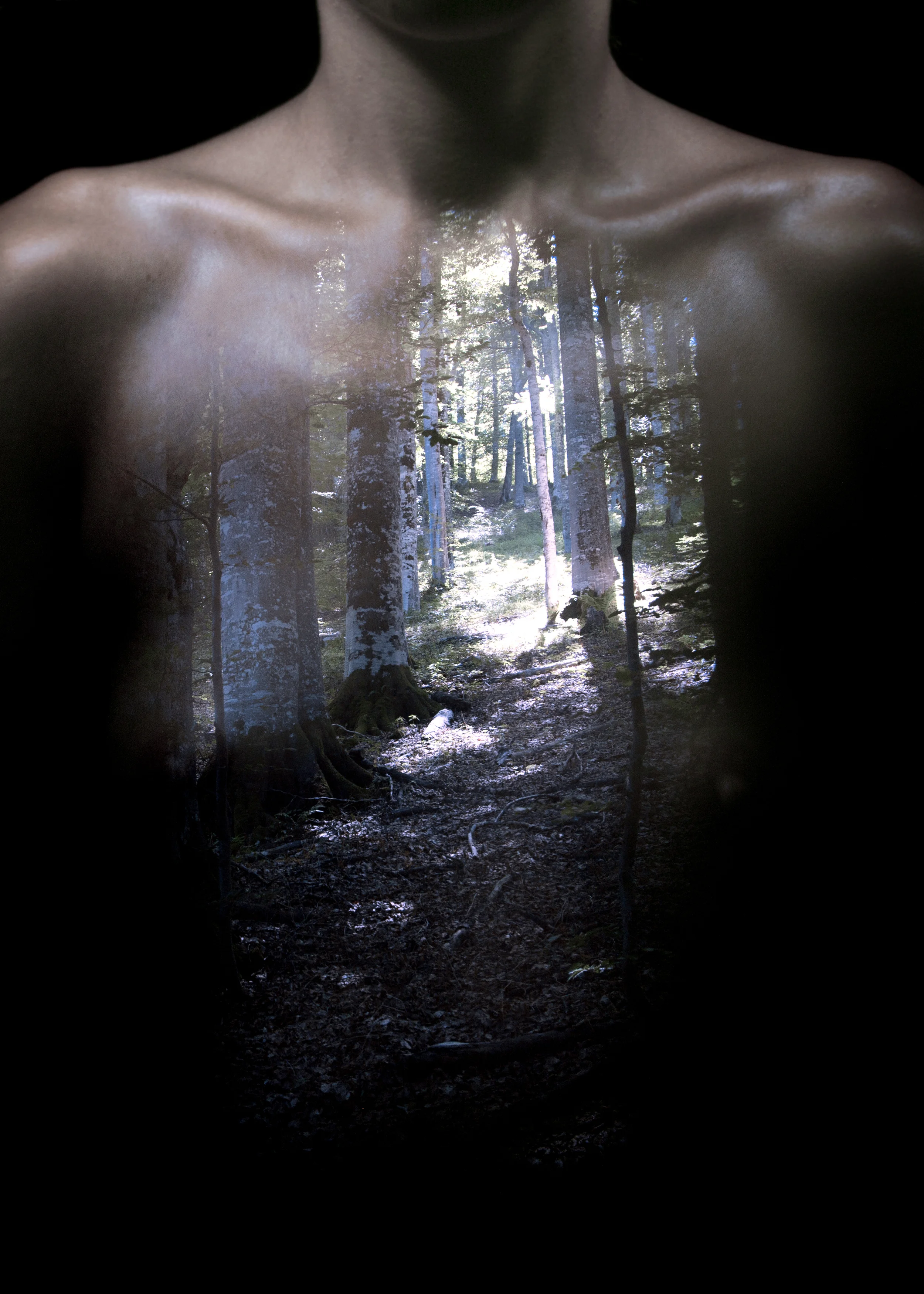 Harmony-of-Spheres-female-frontal-forest.jpg