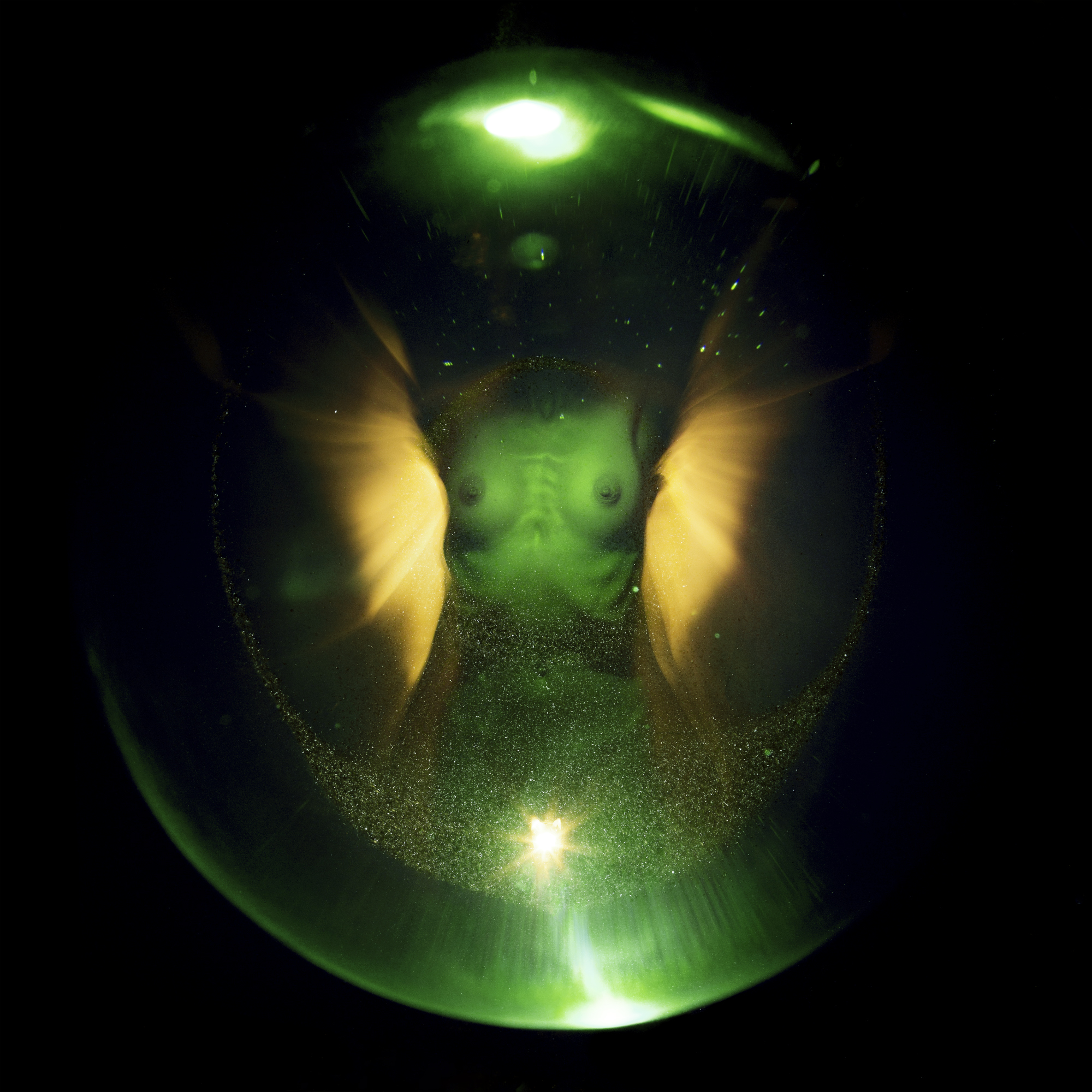 Spherical Voice