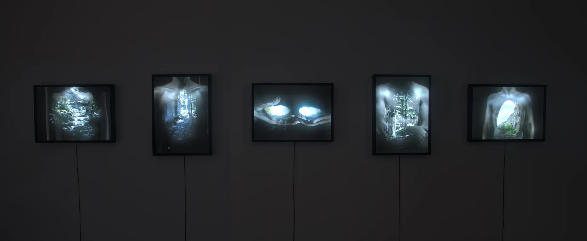Harmony of Insights , 2015