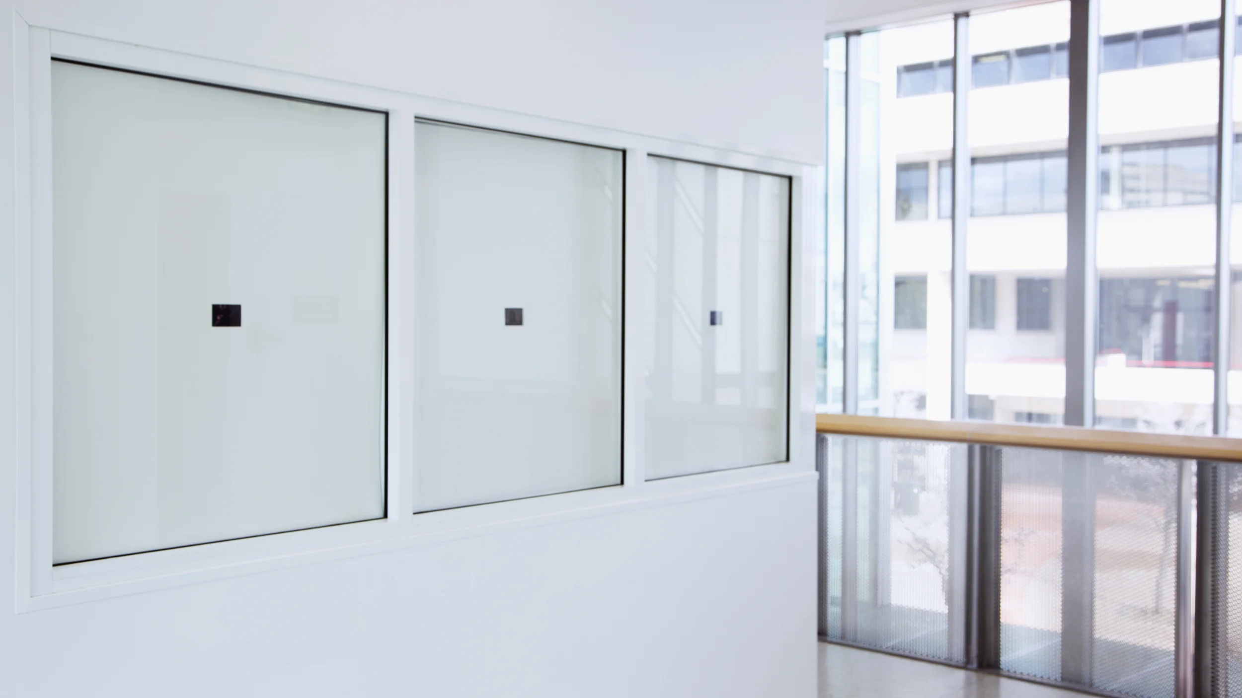 Surrogate Signs Video Installation  (view 1)