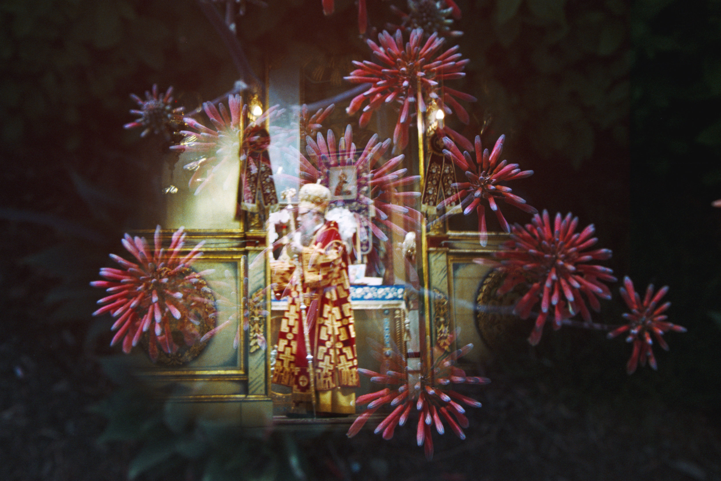 5.Pope-Flowers copy copy.jpg