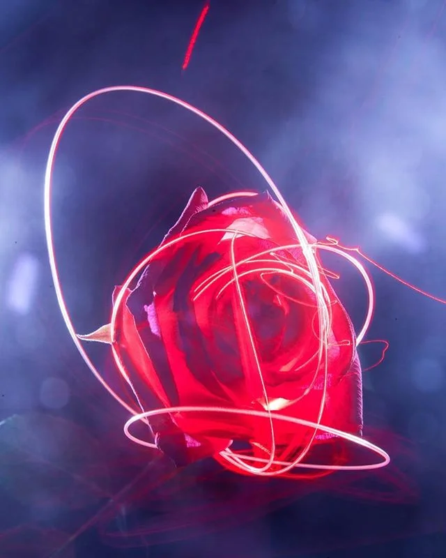 unraveling
.
.
.
.
.
#laservision#roselight#longexposure#ucla#dma#mfa#joteva