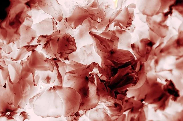 eye see through your decay