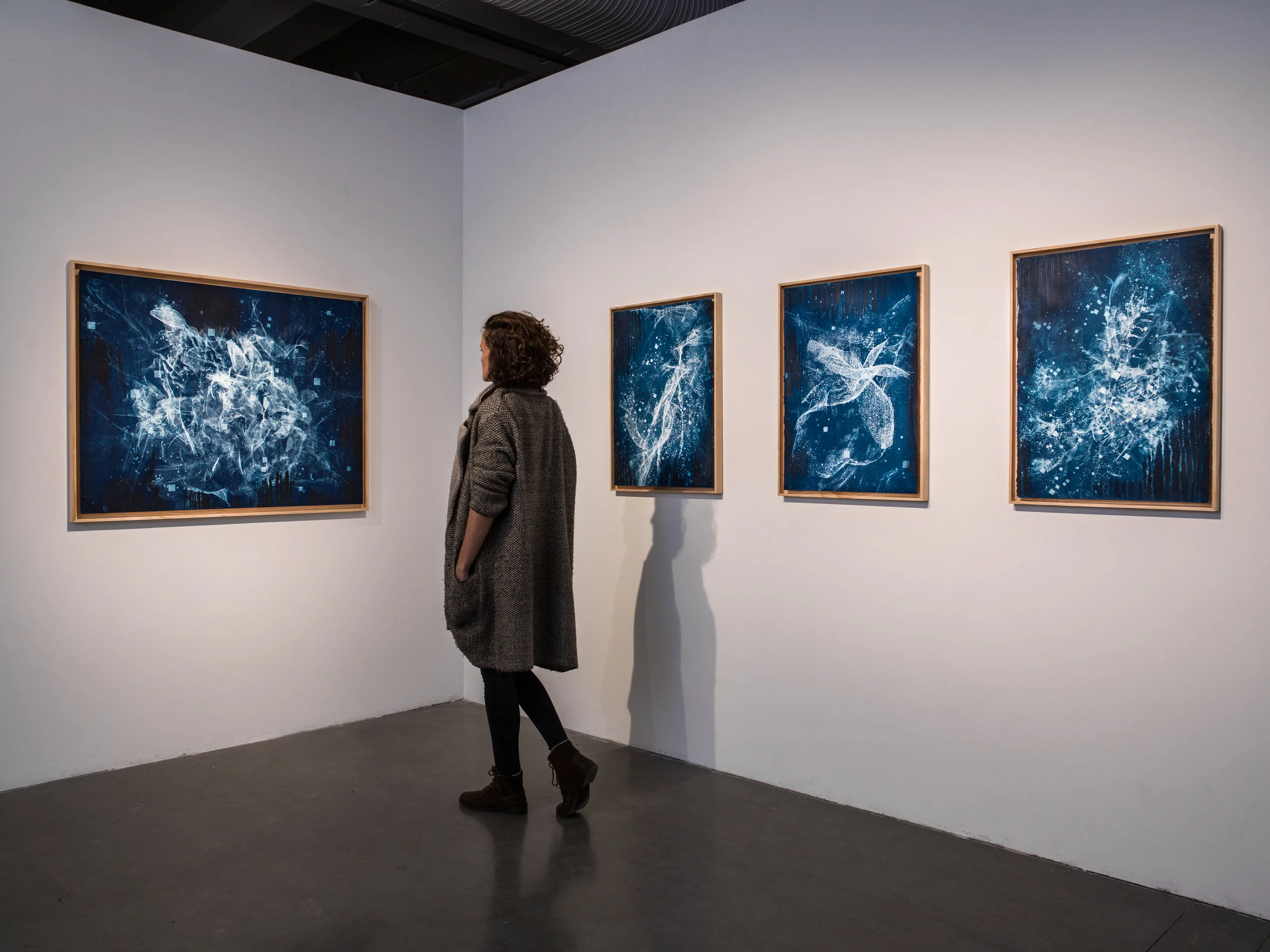 Biogram Blueprints, Install View