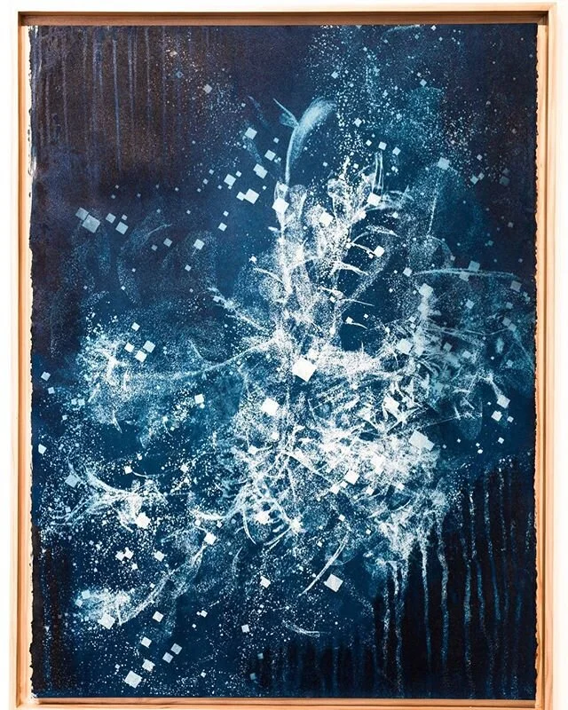 Biogram Blueprint: Zamioculcas 2.1, 2018
.
.
.
#partiallydeveloped#dynamic#cyanotype#UVsensitive#IR#3dscan#pointcloud#zzplant#contemporaryart#curator#thecloudlibraryresearchstation#altprocess#plantart#darkecology#objectorientedontology#vibrantmatter#