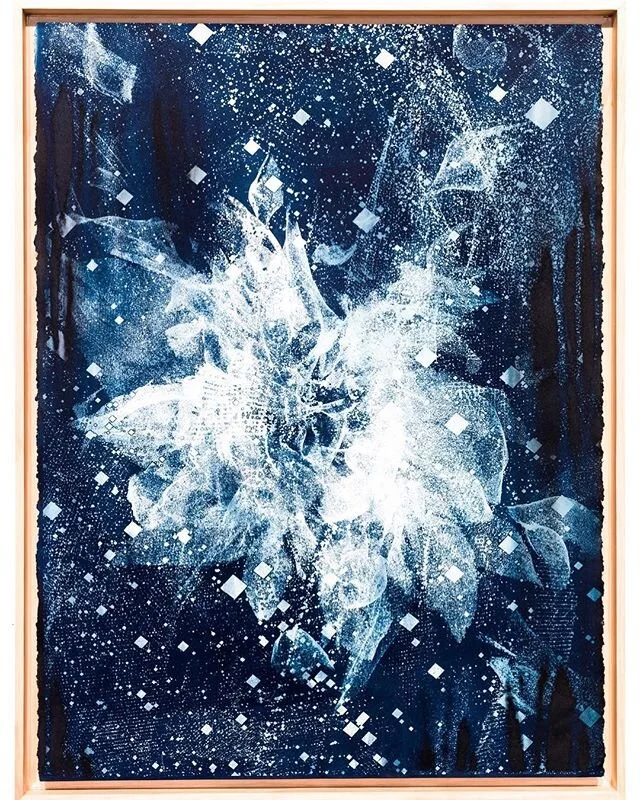 Biogram Blueprint: Spathiphyllum 2.2, 2018
.
.
#partiallydeveloped#dynamic#cyanotype#UVsensitive#IR#3dscan#pointcloud#peacelilly#contemporaryart#curator#thecloudlibraryresearchstation#altprocess#plantart#darkecology#objectorientedontology#vibrantmatt