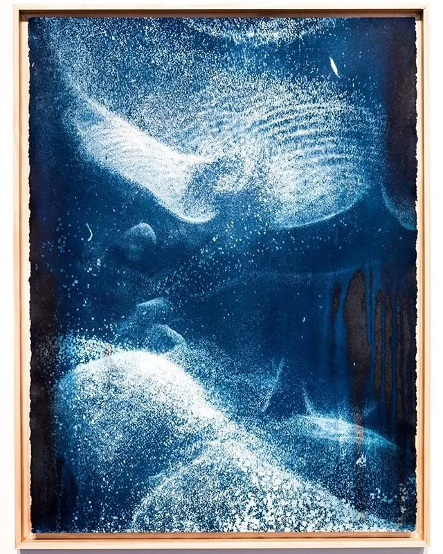 Biogram Blueprint: Orchis 1.1, 2018
.
.
.
.
#partiallydeveloped#dynamic#cyanotype#UVsensitive#IR#3dscan#pointcloud#orchid#biogram#contemporaryart#altprocess#plantart#darkecology#objectorientedontology#vibrantmatter#joteva#biogramblueprint#altprint#co