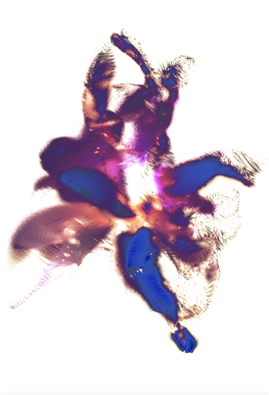 Screenshot 2026-03-30 at 9.11.58 PM.png