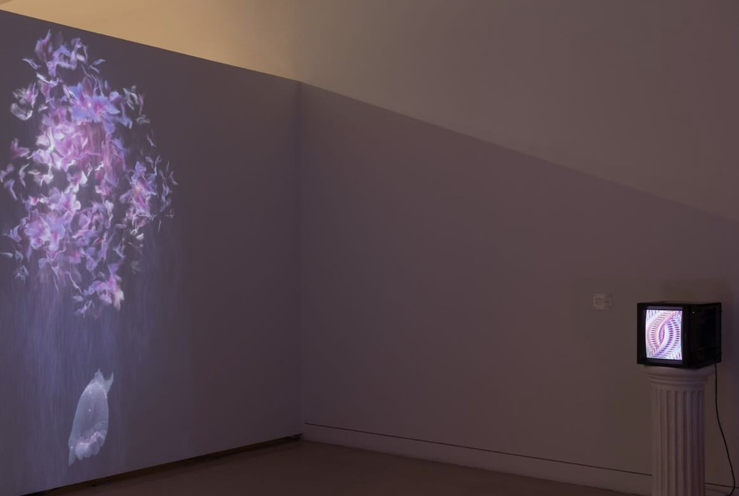 Screenshot 2026-03-30 at 9.19.37 PM.png