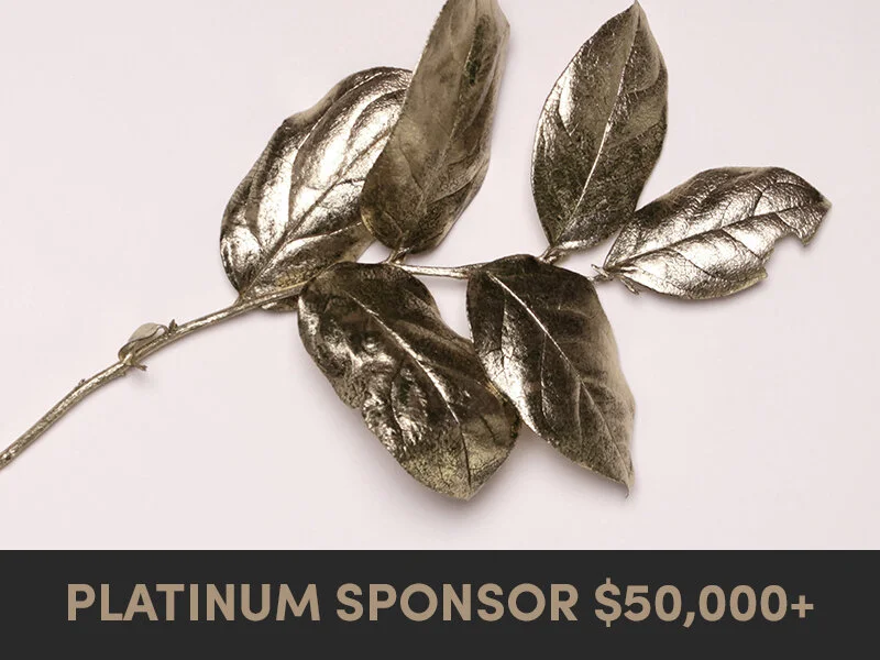 become-a-covert-sponsor-platinum.jpg