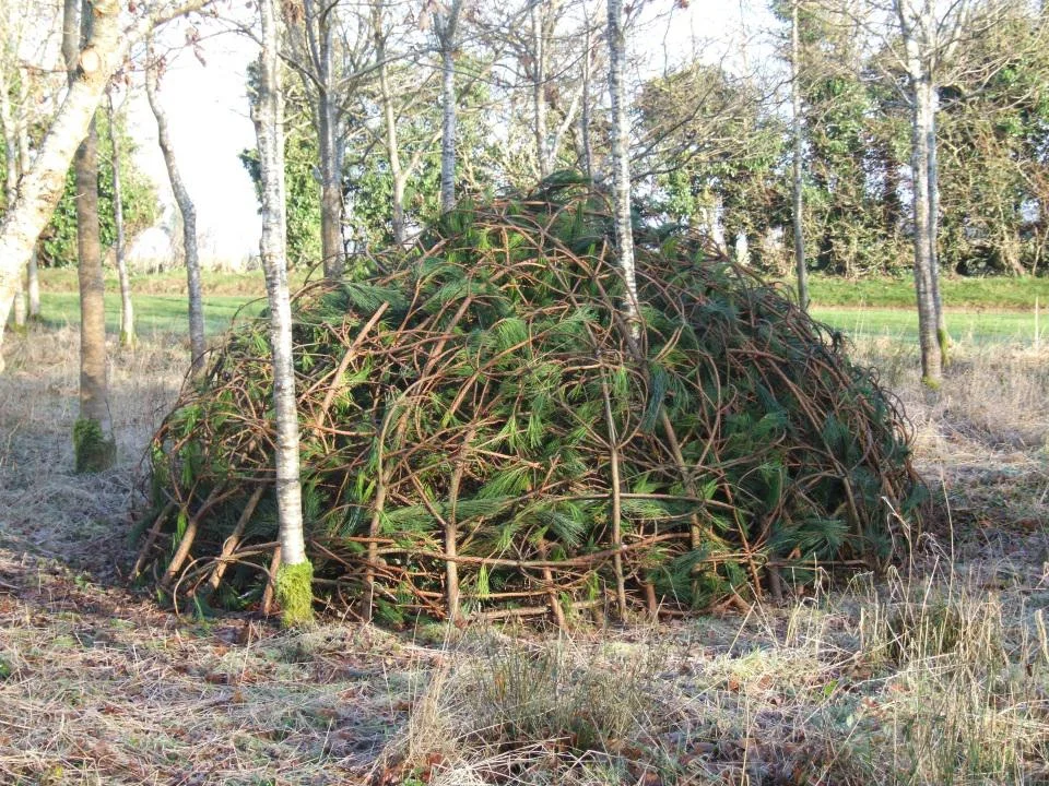 mound structure