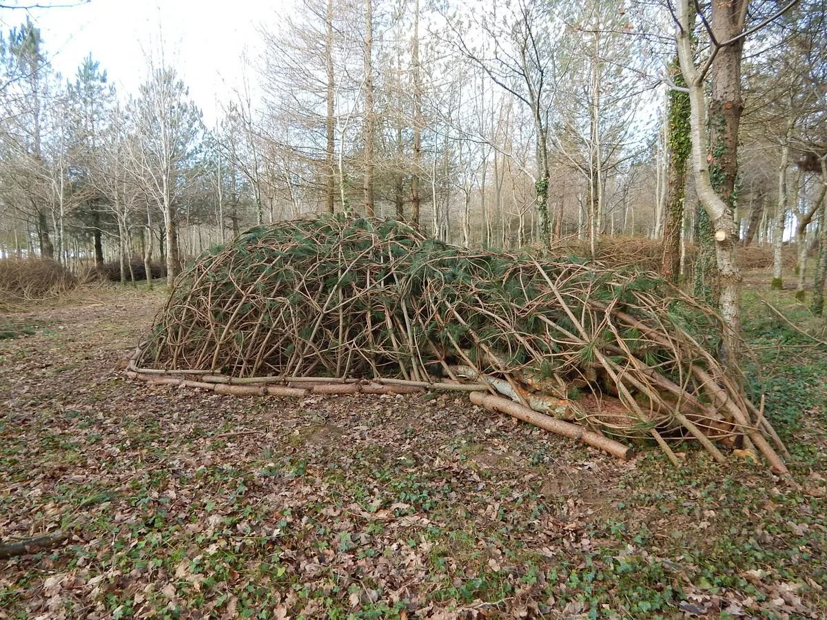 DSCN3825.jpg