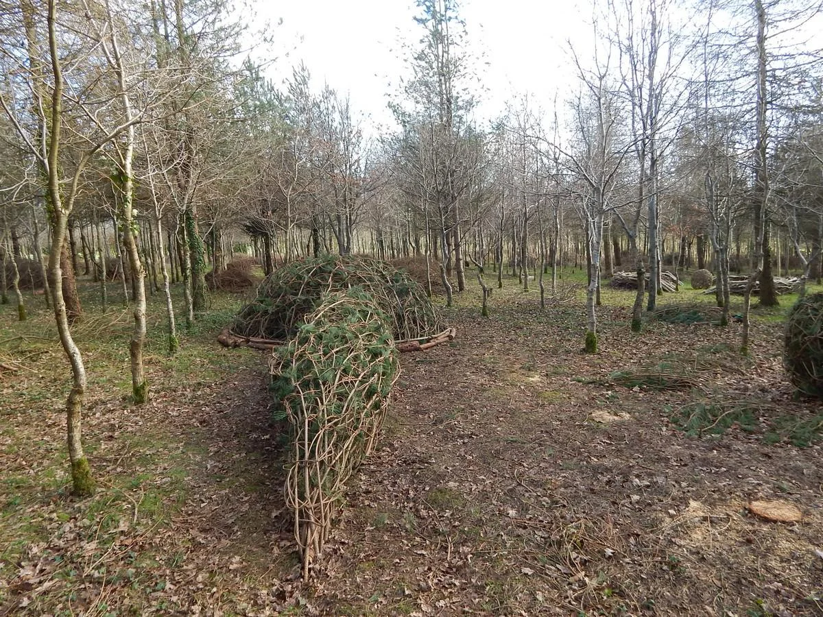 DSCN3833.jpg