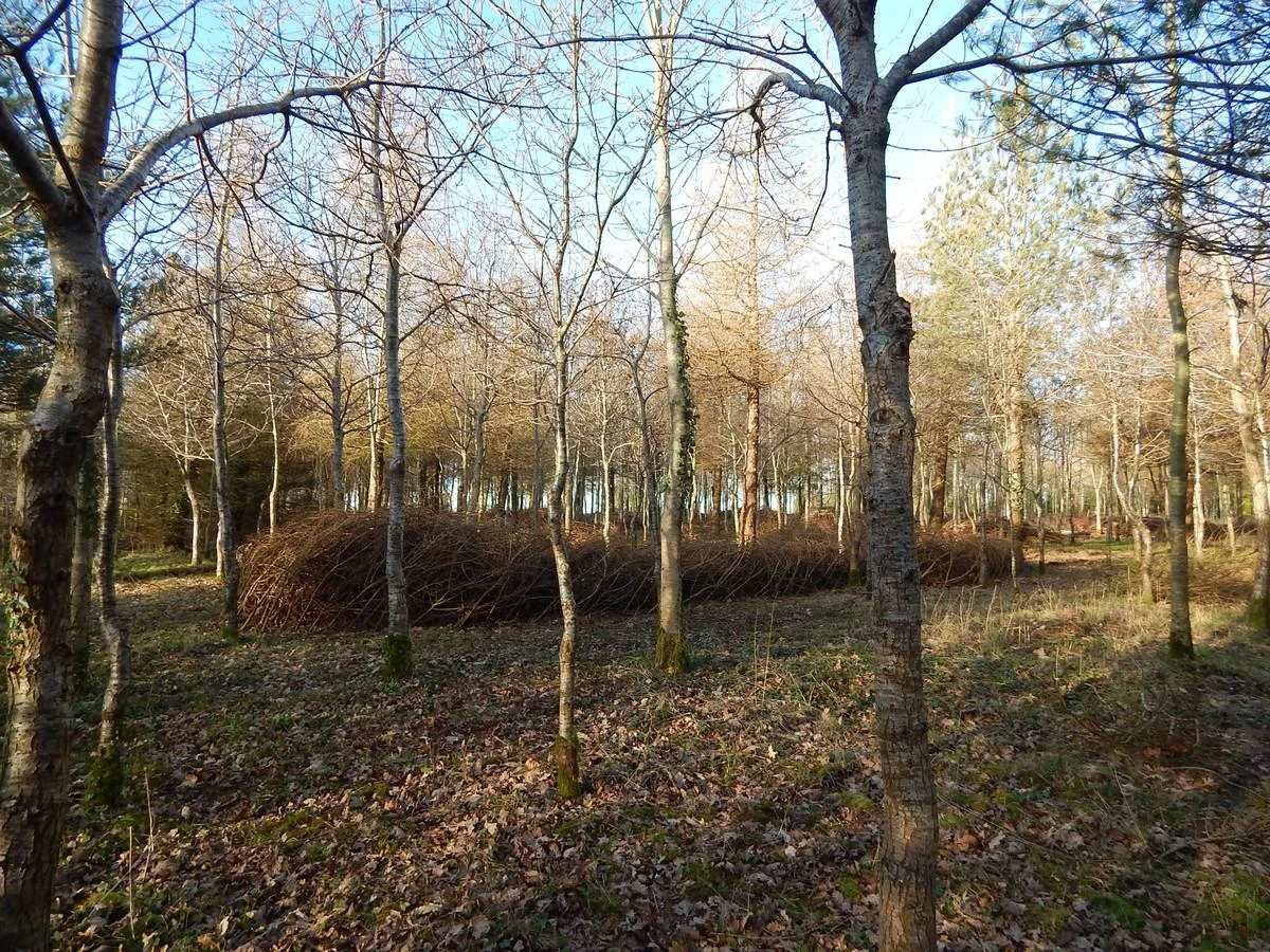DSCN3857.jpg