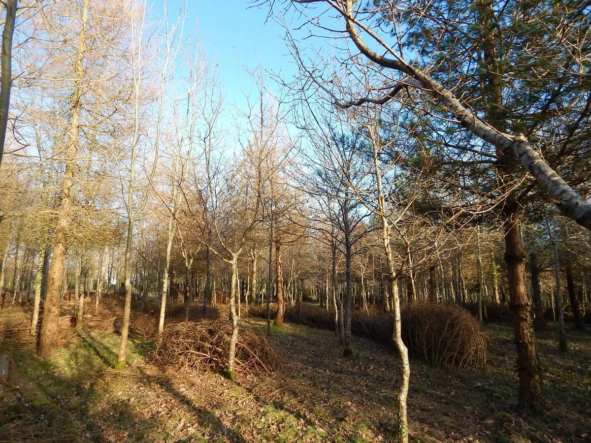 DSCN3860.jpg