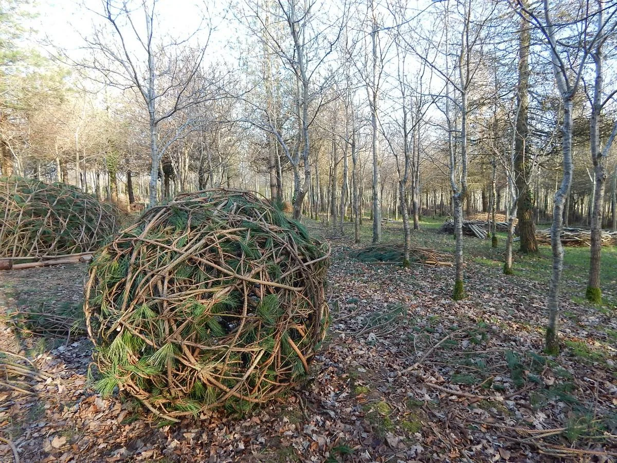 DSCN3865.jpg