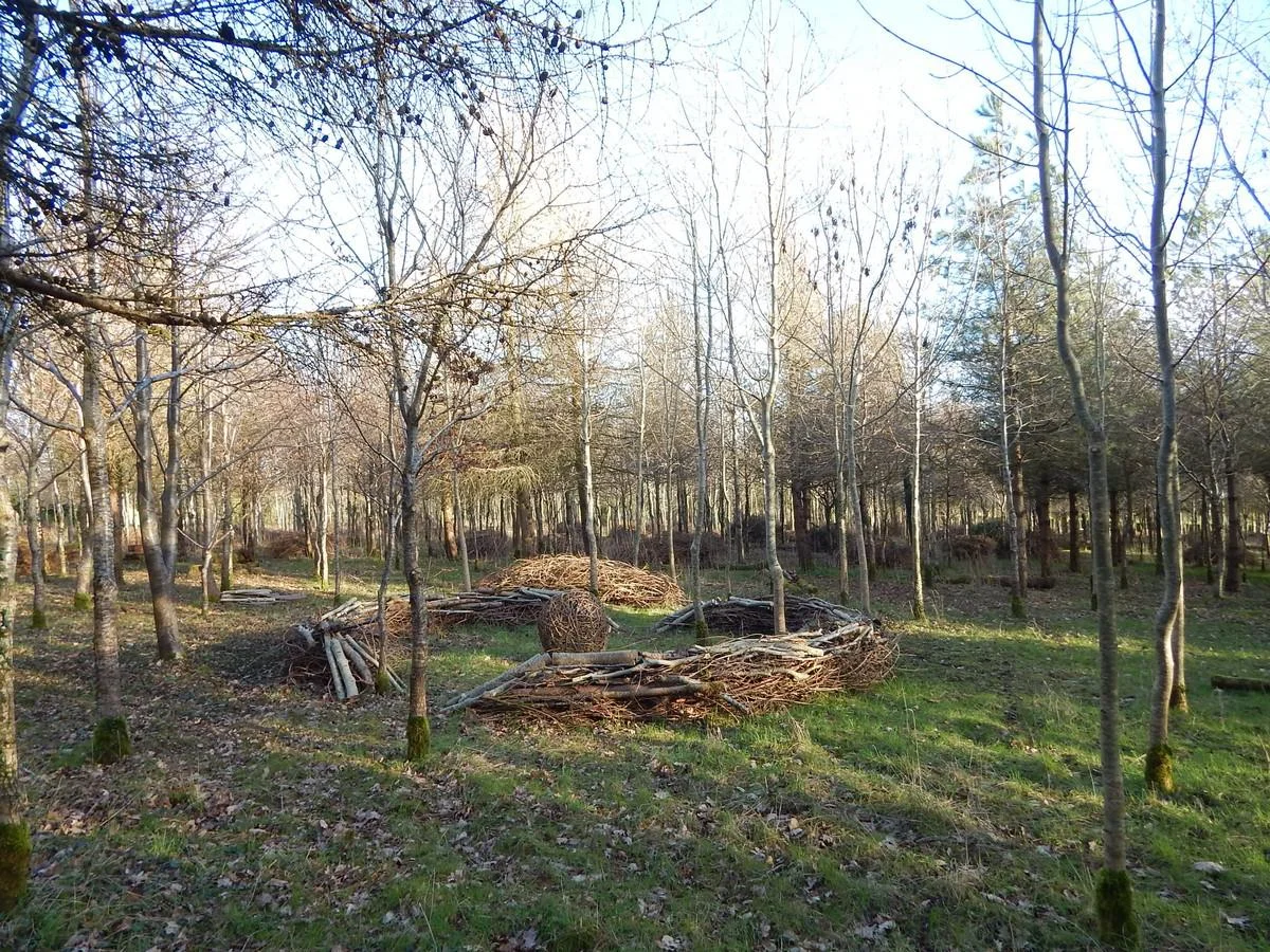 DSCN3868.jpg