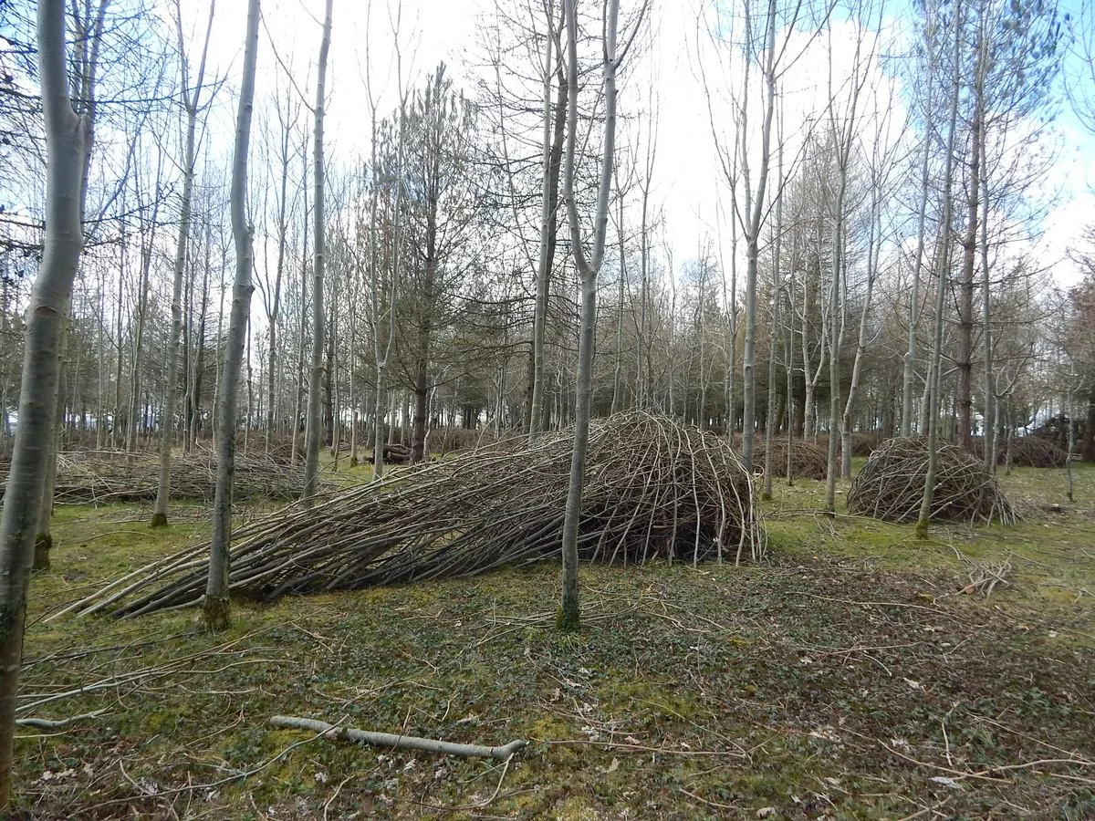 DSCN4273.jpg
