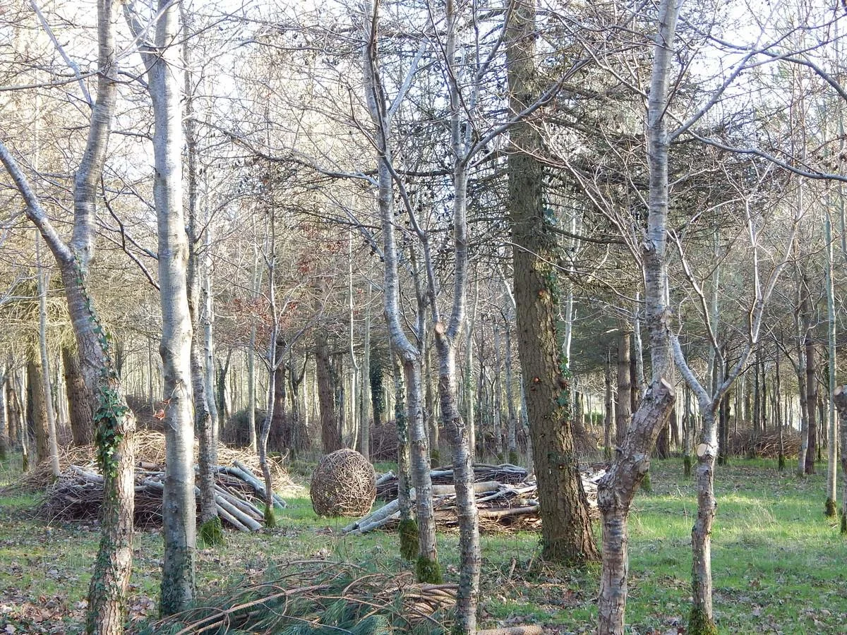 DSCN3877.jpg