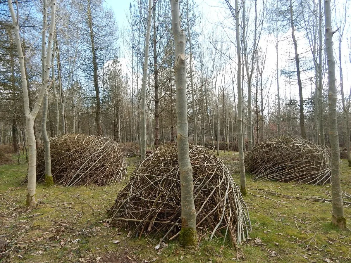DSCN4276.jpg