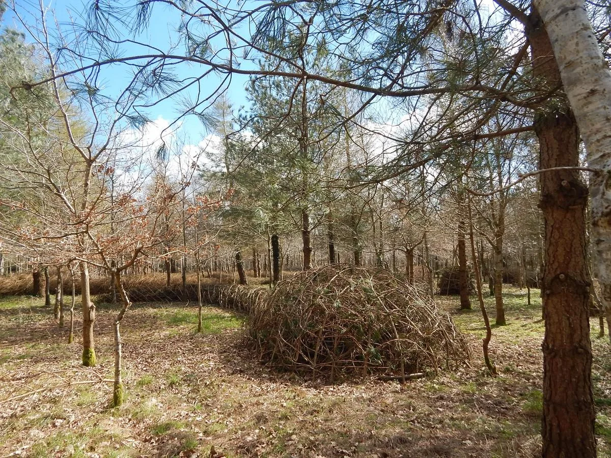 DSCN4280.jpg