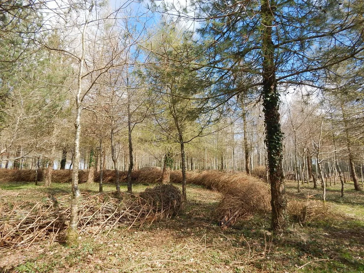 DSCN4281.jpg