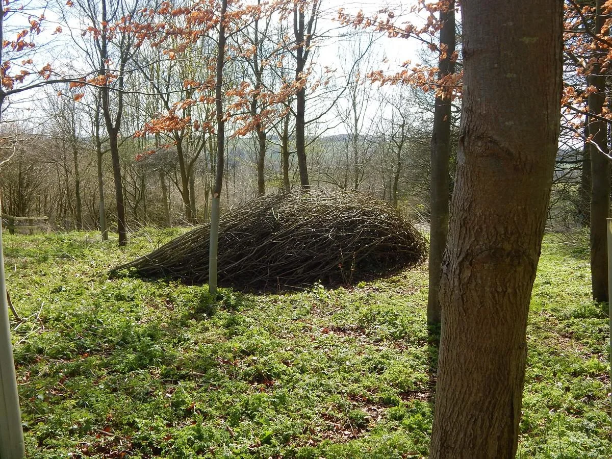 DSCN4375.jpg