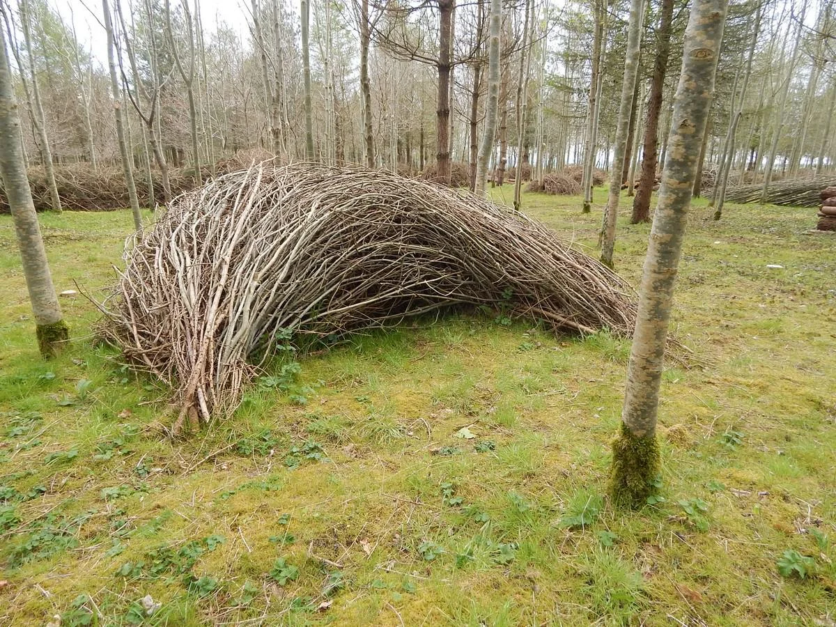 DSCN4448.jpg