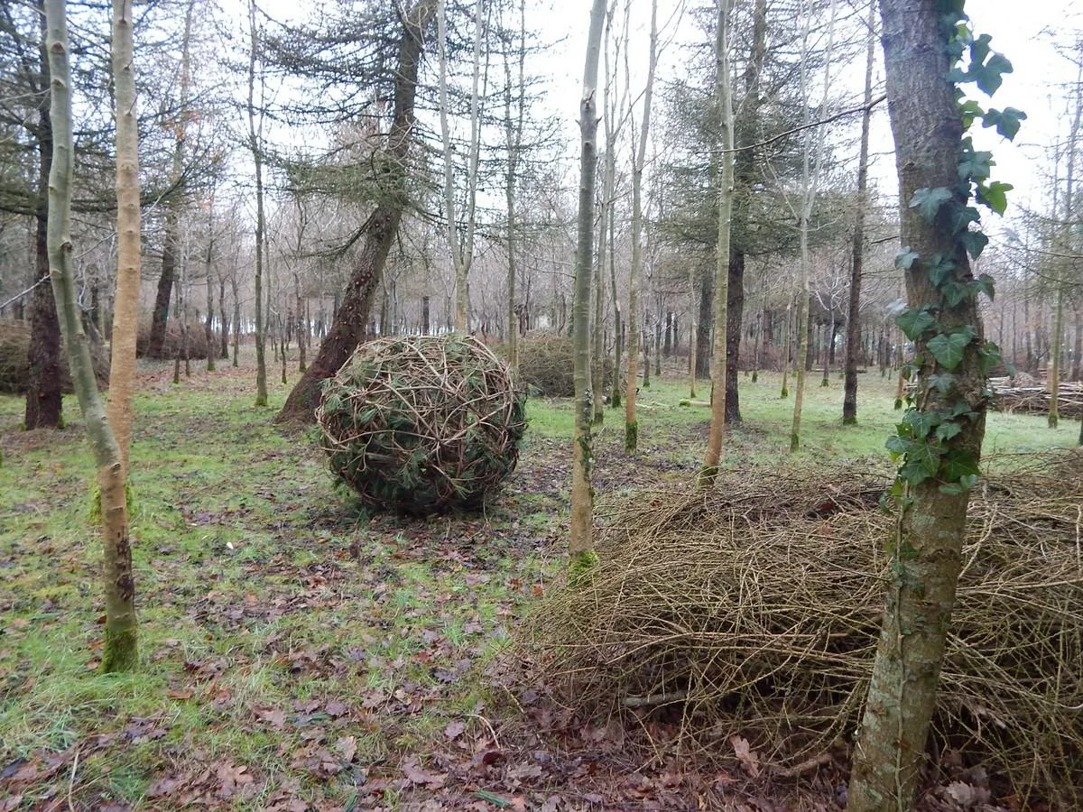 DSCN3807.jpg