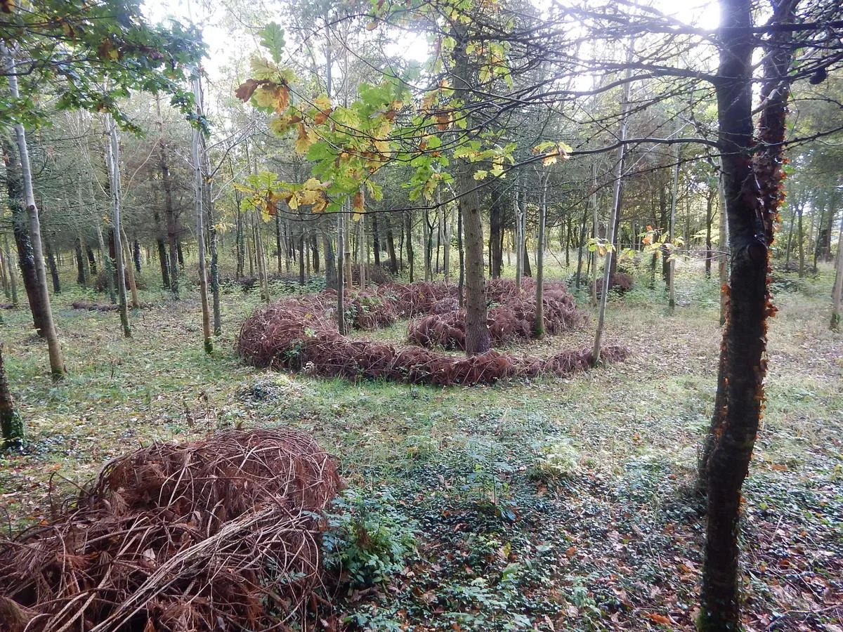 DSCN3446.jpg