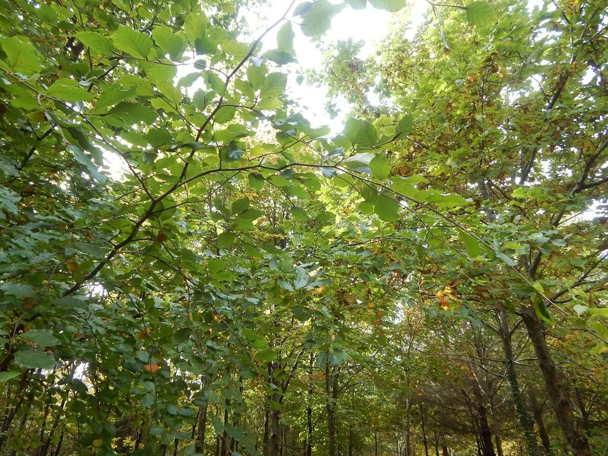 DSCN3466.jpg