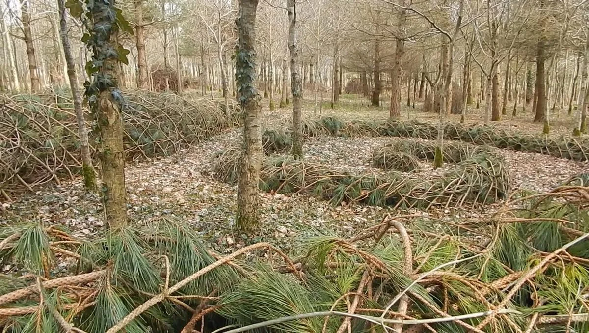 0010_spiral.jpg