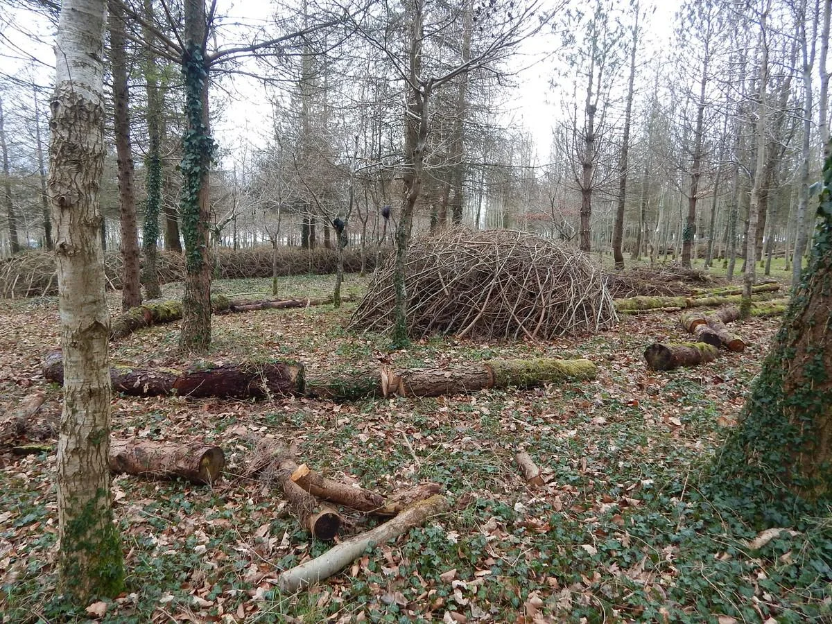 DSCN4152.jpg