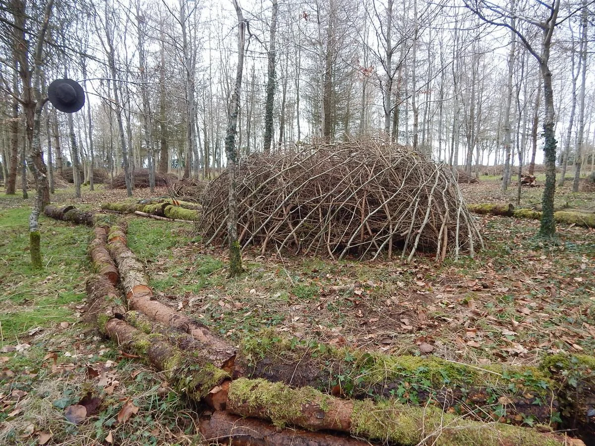 DSCN4157.jpg
