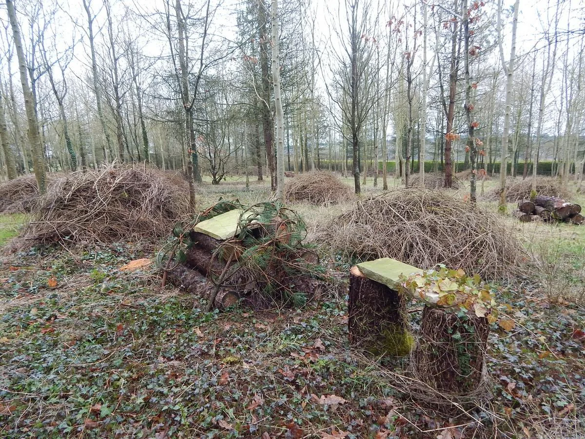 DSCN4170.jpg