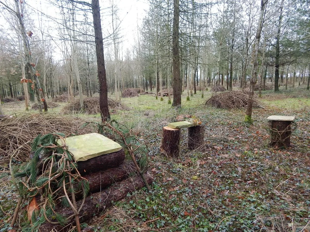 DSCN4177.jpg