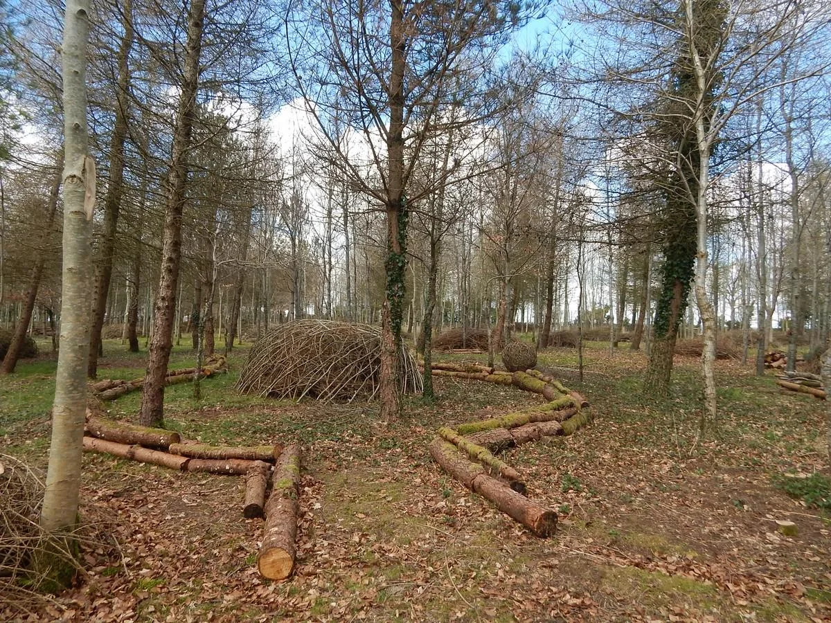 DSCN4285.jpg