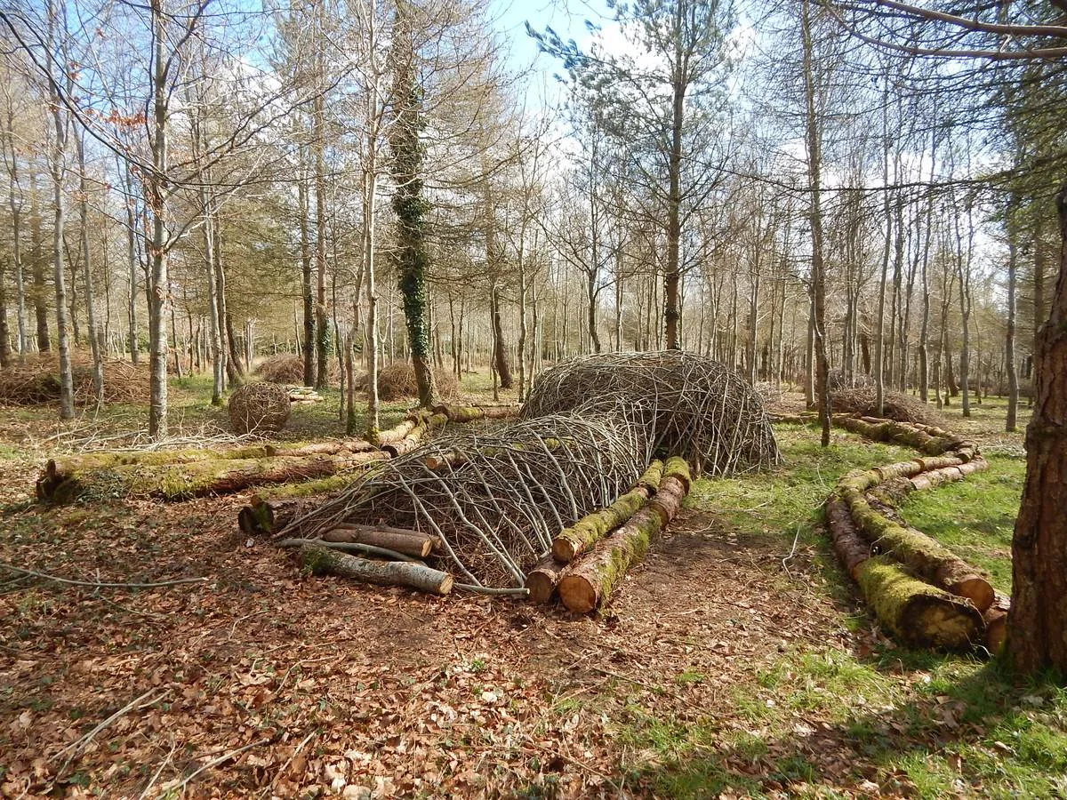 DSCN4270.jpg