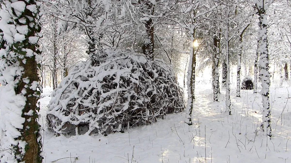 snow5.jpg