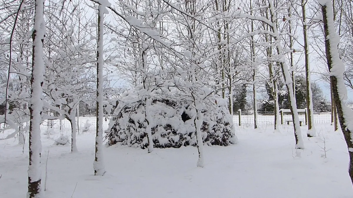 snow6.jpg