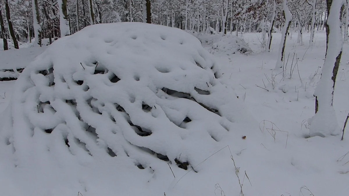 snow8.jpg