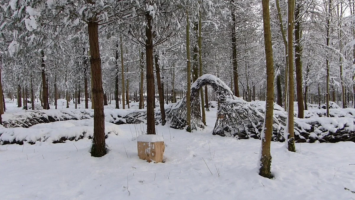 snow9.jpg