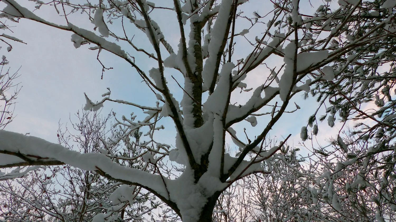 002_dec_2017.jpg